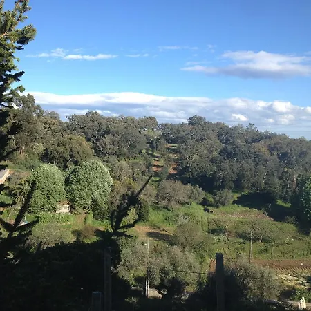 Solar Da Roseira Capinha