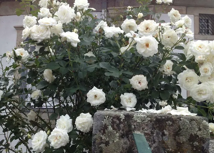 Hébergement de vacances Solar Da Roseira